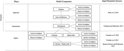 Quantifying conditional probabilities of fish-turbine encounters and impacts